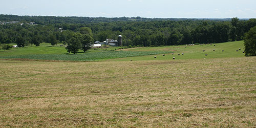 Lundale Farm